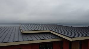 Best Commercial Roofing Services  in Port Huron, MI